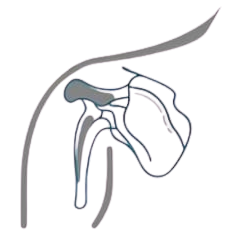 especialista-en-traumatologia-y-ortopedia-en-cdmx